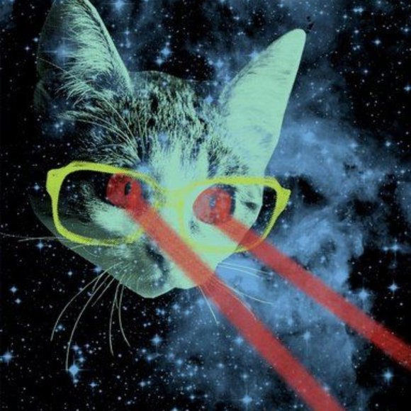 Meet your Posher, Kristen - Picture 1 of 1